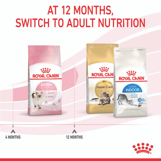 Royal Canin Kitten Dry Cat Food, Kitten Dry Food, Food for Kittens, Royal Canin Kitten food, Pet Essentials Warehouse