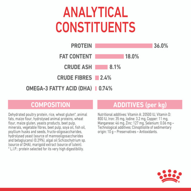 Royal Canin Kitten Dry Cat Food, Kitten Dry Food, Food for Kittens, Royal Canin Kitten food, Pet Essentials Warehouse
