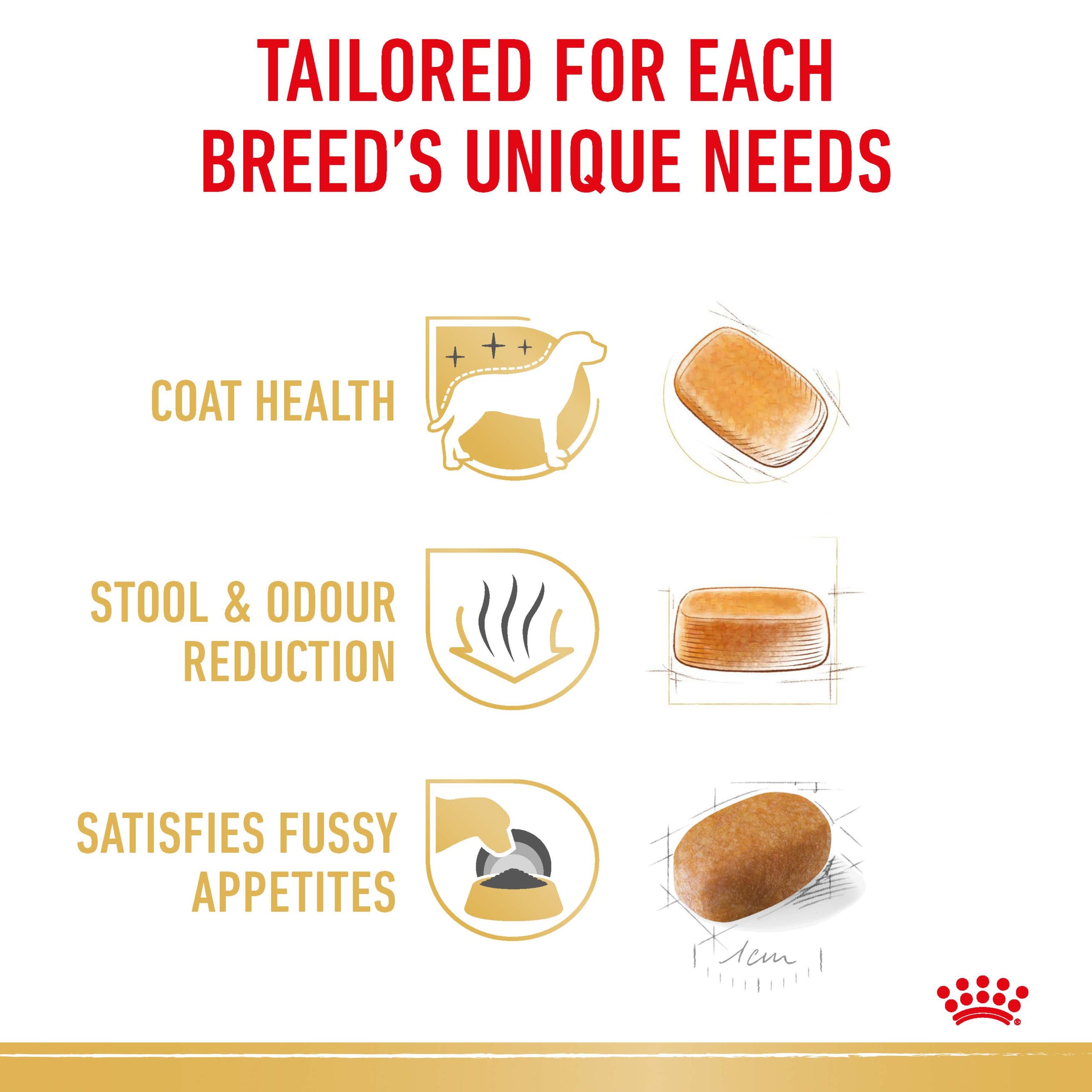 Royal Canin Maltese Adult Dry Dog Food biscuits, pet essentials warehouse