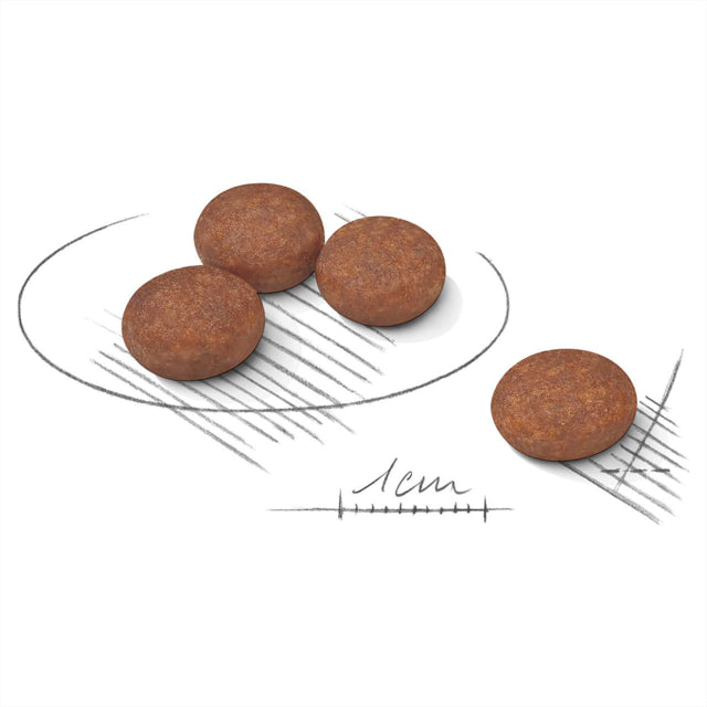 Royal Canin Mini Digestive Care Dry Dog Food, Digestive Care food, Improves stools in small dogs, Small dog Digestion, Pet Essentials Warehouse, Kibble size