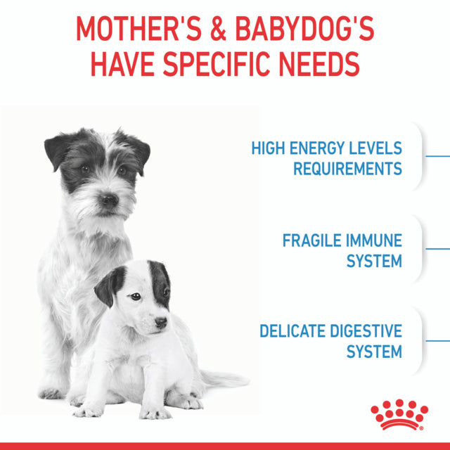Royal Canin Mini Starter Mother & Babydog Dry Dog Food specific needs poster, pet essentials warehouse