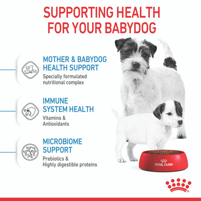 Royal Canin Mini Starter Mother & Babydog Dry Dog Food supporting healthy joints, pet essentials warehouse