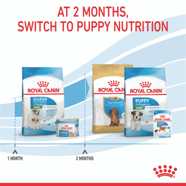 Royal Canin Mini Starter Mother & Babydog Dry Dog Food switch to puppy formula, pet essentials warehouse