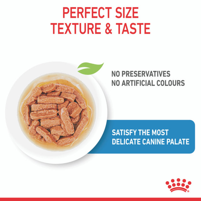 Royal Canin Medium Puppy Wet Food, Medium puppy food, Pet Essentials Warehouse
