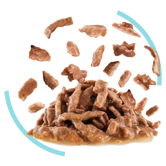 Royal Canin Sensory Feel in Gravy Wet Cat Food, Sensory Feel for cats, Cat food for cats, Wet cat food, Gravy cat food, Pet Essentials Warehouse