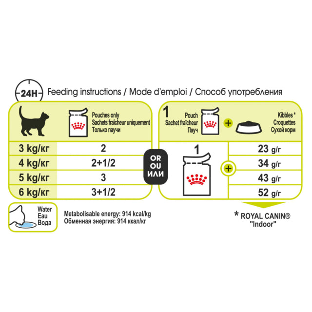 Royal Canin Sensory Smell in Jelly Wet Cat Food