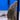 Royal Pleco L190, Live Fish,  Pleco,  Pet Essentials Warehouse.