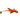 Red Lizard Whiptail Catfish