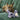 Kong Scrumplez Tug Squeaker Koala Dog Toy, Kong,  Plush Toys,  Pet Essentials Warehouse.