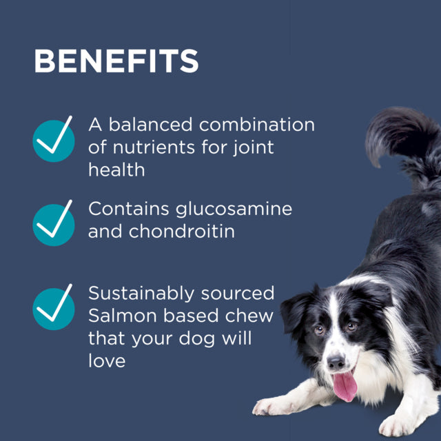 Blackmores PAW Osteocare Chews, Joint health for dogs, Blackmores paws, Pet Essentials Warehouse, Benefits Poster