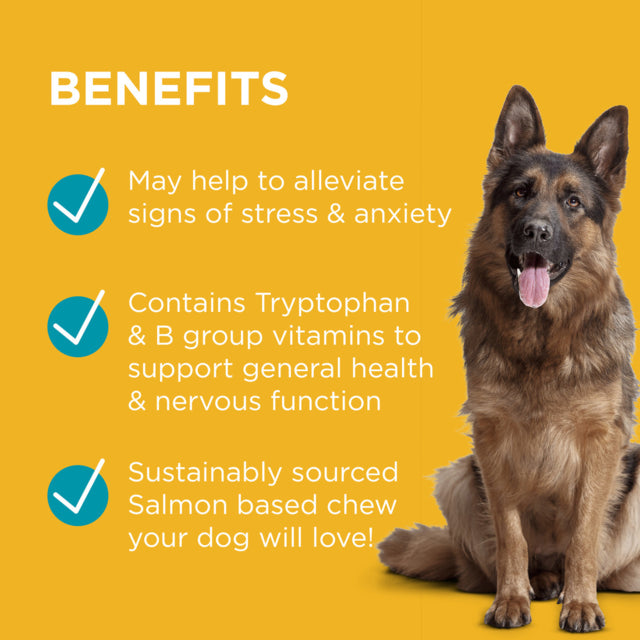 Blackmores PAW Complete Calm Chews for Dogs, Calming Chews for Large Dogs, Helps With Stress in Large Dogs, Blackmores for pets, Pet Essentials Warehouse