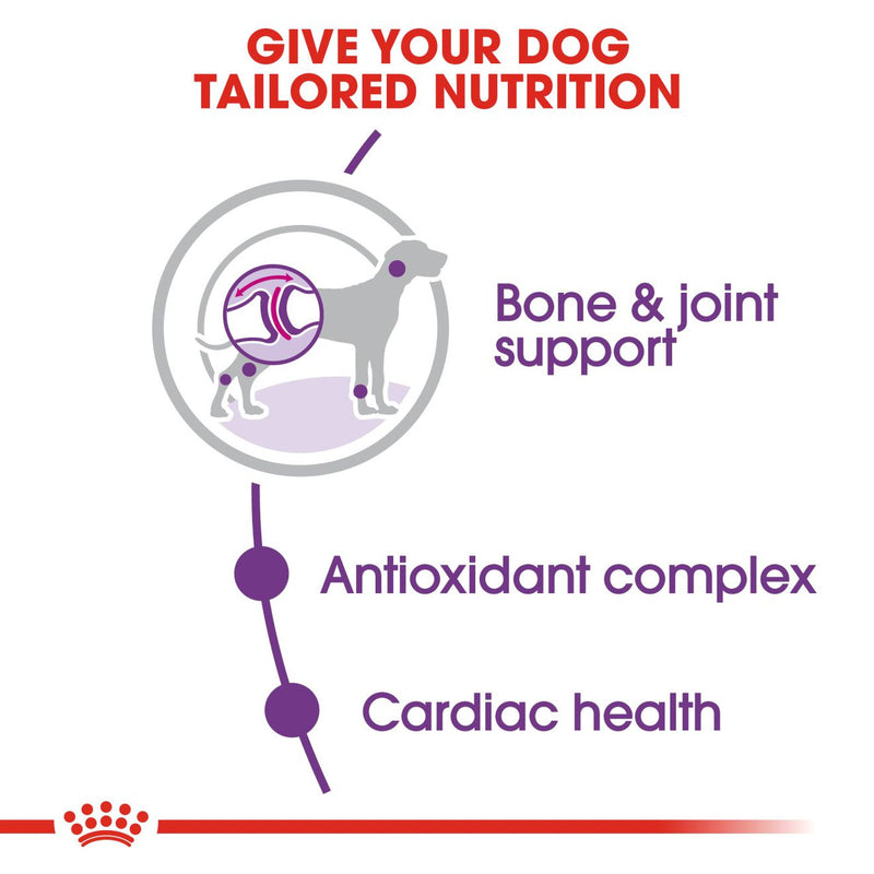 Royal Canin Giant bone & joint support, pet essentials warehouse