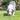 Chuckit! Eco Fetch Stick, Chuckit,  Fetch Toys,  Pet Essentials Warehouse.