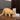 Petsafe Automatic 2 Meal Pet Feeder, PetSafe,  Electric Fountains & Feeders,  Pet Essentials Warehouse.