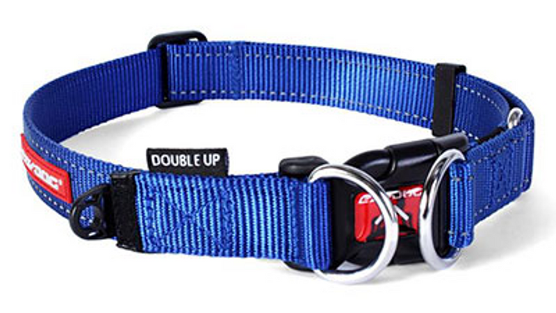 EzyDog Double Up Collar Blue, Blue dog collar, pet essentials warehouse