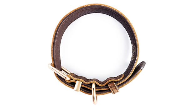 EzyDog Oxford Leather Dog Collar Brown top view, pet essentials warehouse