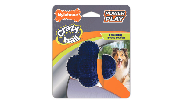 Nylabone Power Play Crazy Ball Dog, Dog Toy, Pet Essentials Warehouse Toy