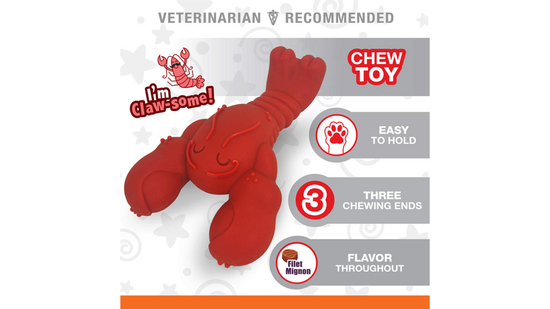 Nylabone Power Chew Lobster Dog Toy, Large Dog Chew Toy, Power Chew toy, Pet Essentials Warehouse, Chew Dog Toy