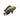Salvini Cichlid, Live Fish,  American Cichlid,  Pet Essentials Warehouse.