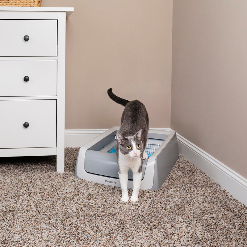 cat using Petsafe Scoopfree 2nd Generation Self Cleaning Litter Box in a room, grey carpet, pet essenitals warehouse