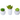 Succulent Resin Kit Ornament, Brooklands,  Aquatic Ornaments,  Pet Essentials Warehouse.