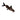Synodontis Petricola Cuckoo Catfish, Live Fish,  Synodontis,  Pet Essentials Warehouse.