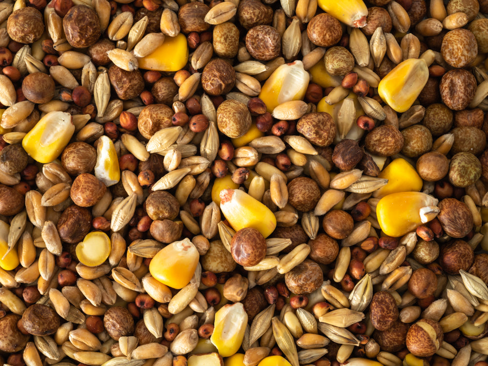 Topflite Pigeon Seed Mix, seed for pigeons, Pet Essentials Warehouse