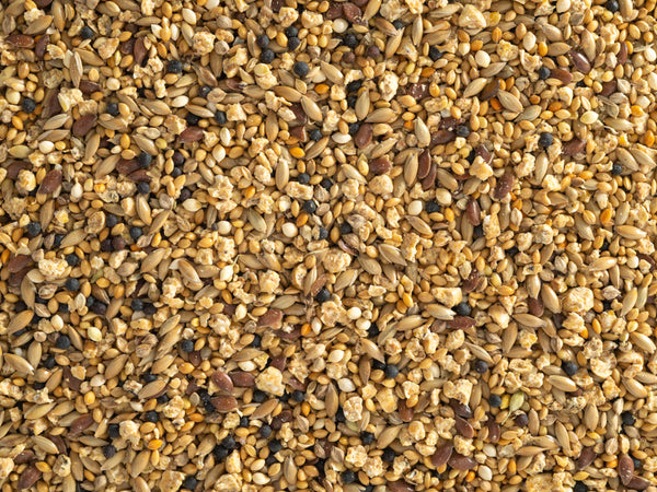 Topflite Quail Mix, Mix food for Quails, seed for Bird, Bird seed, Topflite bird seed, Pet Essentials Warehouse