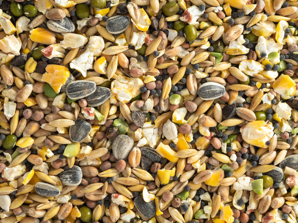 Topflite Soak & Sprout, Parrot seed mix, soak and sprout, seed for parrots, Pet Essentials Warehouse