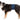 Trixie Belly Band For Male Dogs, Trixie,  Dog Clothing,  Pet Essentials Warehouse.