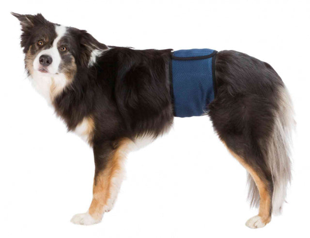 Trixie Belly Band For Male Dogs, Male dogs, Belly band for male dogs, pet Essentials Warehouse