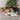 Trixie Christmas Plush Bear Dog Toy, Trixie,  Plush Toys,  Pet Essentials Warehouse.