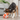 Trixie Plush Fox Dog Toy, Trixie,  Plush Toys,  Pet Essentials Warehouse.