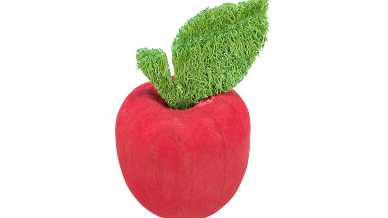 Trixie Wooden Apple, Chew for small pets, Pet Essentials Warehouse