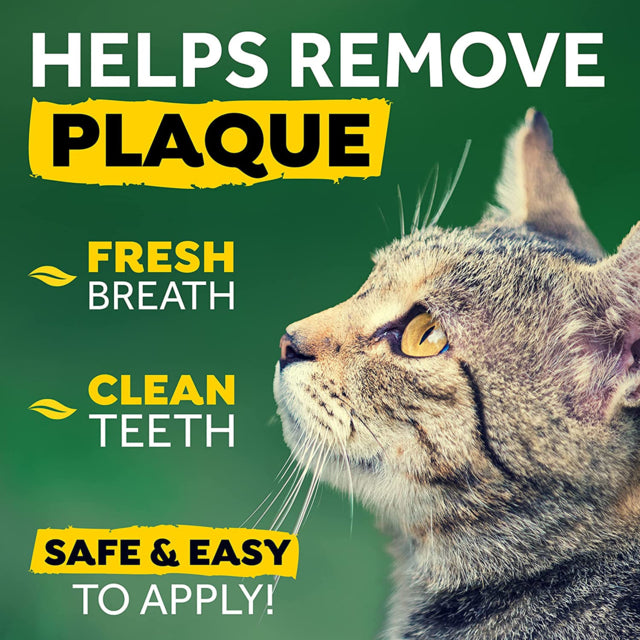 TropiClean Oral Care Clean Teeth Gel for Cats, Helps with plaque with cats, Pet Essentials Warehouse