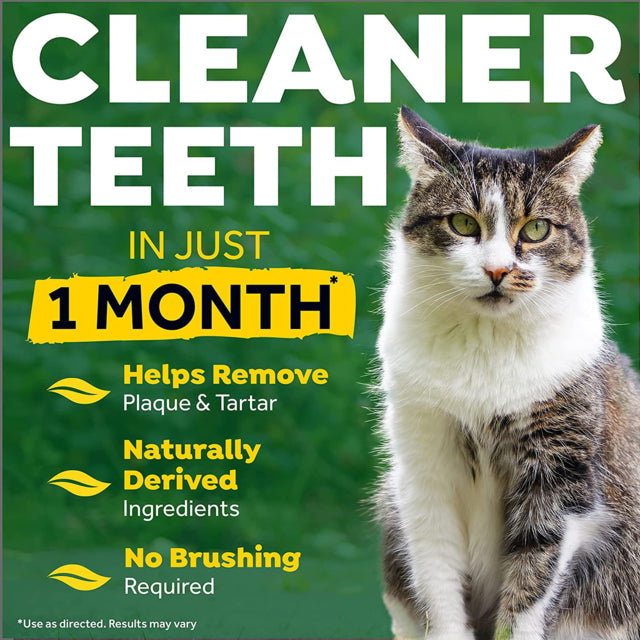TropiClean Oral Care Clean Teeth Gel for Cats, Cleaner teeth, Pet Essentials Warehouse