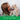 Tropiclean Fresh Breath Tripleflex Toothbrush, TropiClean,  Dental Care,  Pet Essentials Warehouse.