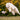 PLAY Forest Friends Baxter The Bunny Dog Toy, PLAY,  Plush Toys,  Pet Essentials Warehouse.
