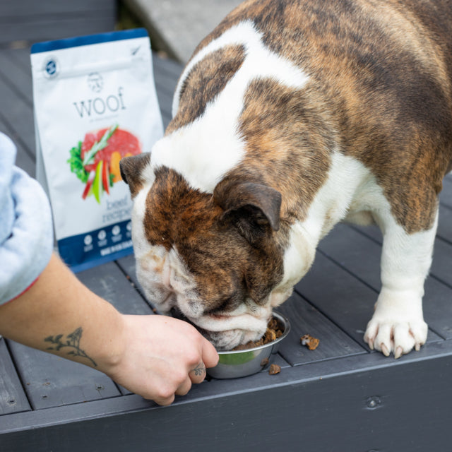 Woof Air Dried Beef Dog Treats, dog eating woof treats, Pet Essentials Warehouse