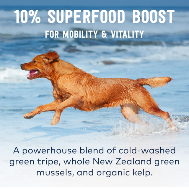 Ziwi Beef Wet Dog Food, Ziwi peak, New Zealand Made, all life stage dog food, Beef dog food, can dog food, Pet Essentials Warehouse, Peakprey Recipes, Grainfree dog food, Poster