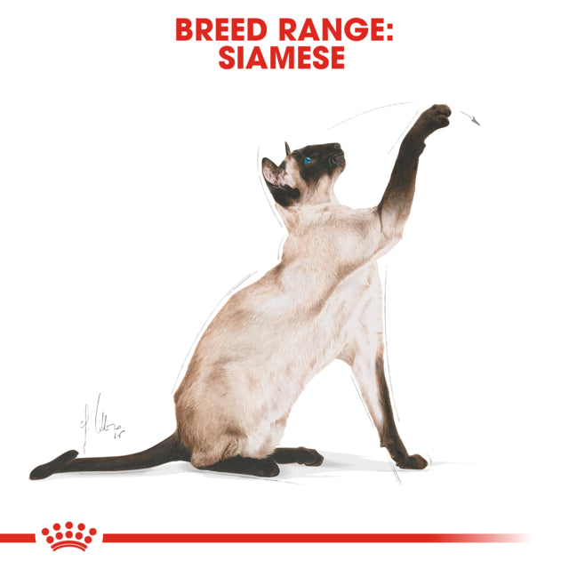 Royal Canin Siamese Adult Dry Cat Food, Siamese food for cats, Food for Siamese cats, Tailor made kibble, Royal Canin Cat food, Pet Essentials Warehouse
