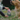 Beco Dog Treats Cashew, Beco,  Dog Treats,  Pet Essentials Warehouse.