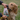 Beco Dog Treats Dog Choc, Beco,  Dog Treats,  Pet Essentials Warehouse.
