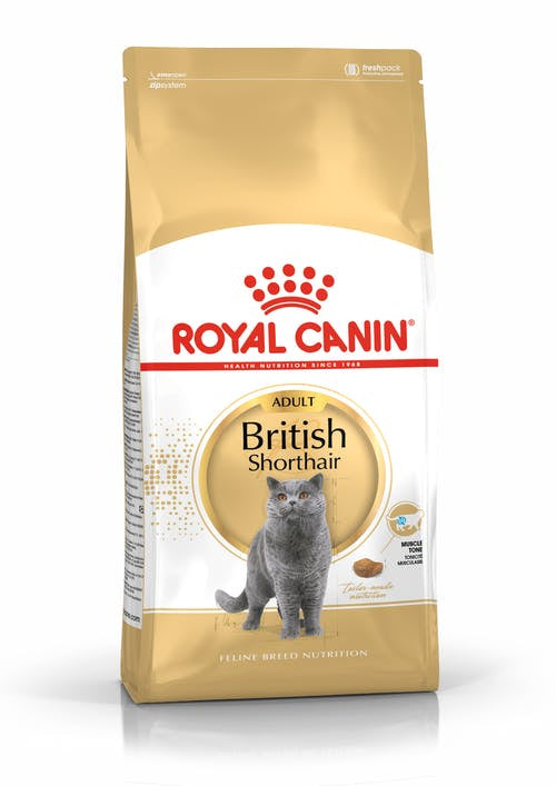 Royal Canin British Shorthair Adult Dry Cat Food, British ShortHair, Royal Canin adult food, Royal Canin cat food, Pet Essentials Warehouse