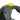 Flexi Giant 8m Neon Retractable Tape Large Lead close up push stop button