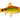 Neon Golden Barb, Live Fish,  Barb,  Pet Essentials Warehouse.