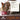 Wellness Core Tiny Tasters Tuna & Salmon Pate Wet Cat Food, Cat Food, Pet City