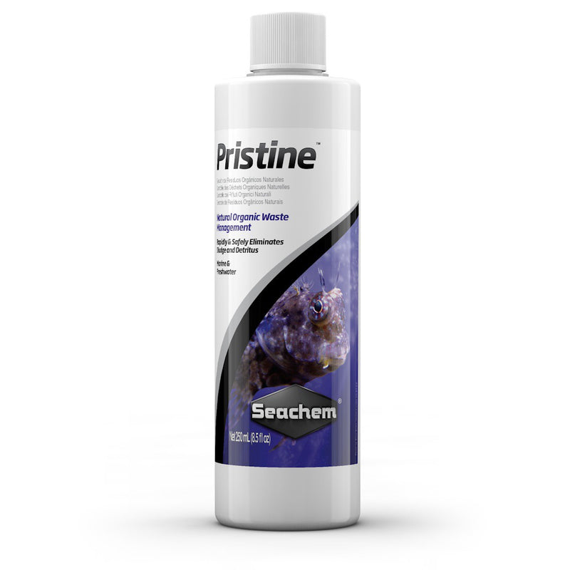 Seachem Pristine Live Bacteria 250ml bottle, pet essentials warehouse, seachem live bacteria