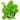 Water Rose Samolus Live Aquatic Plant, Live Plants,  Live Aquatic Plants,  Pet Essentials Warehouse.