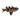 Upside Down Catfish, Live Fish,  Synodontis,  Pet Essentials Warehouse.